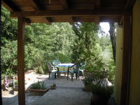 terrace surrounded by flowers for a relaxed tuscany holiday 
